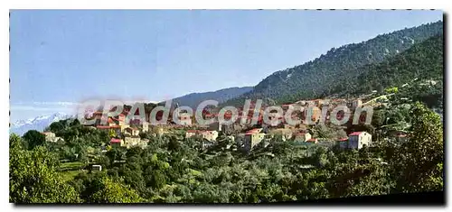 Cartes postales moderne Olivese Corse Vue Generale