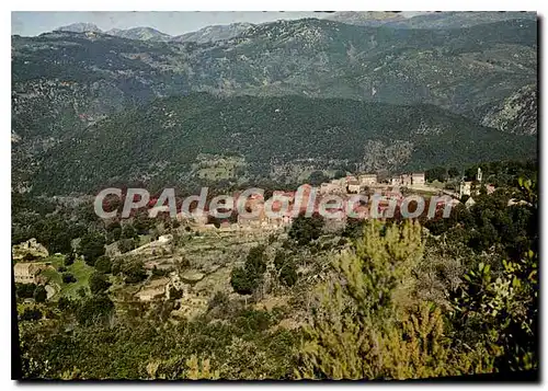 Moderne Karte Olivese Corse Vue D'Ensemble Du Village