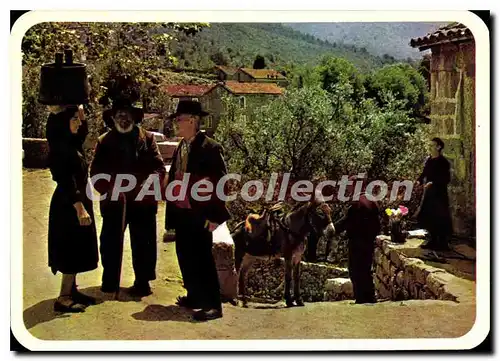 Moderne Karte Olivese Corse Dans Les Rues sinueuses Plongeantes �ne