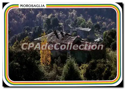 Cartes postales moderne Morosaglia Ambiance Pittoresque castagniccia