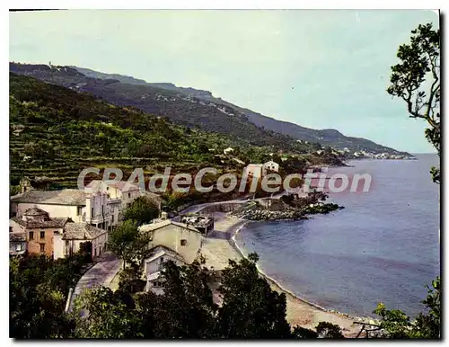 Cartes postales moderne Lavasina La Corse Inoubliable