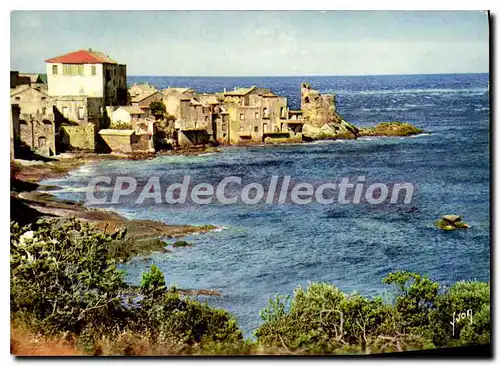 Cartes postales moderne La Corse Oasis De Beaute Erbalunga Petite Presqu'ile pres Bastia