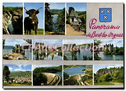 Cartes postales moderne Bort Les Orgues panorama