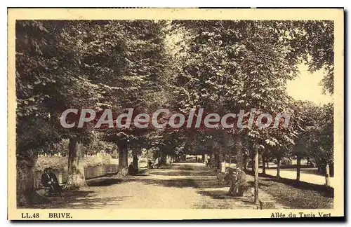 Cartes postales Brive Allee Du Tapis Vert