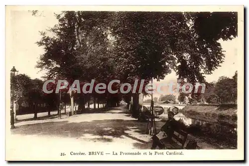 Ansichtskarte AK Brive La Promenade Et Le Pont Cardinal