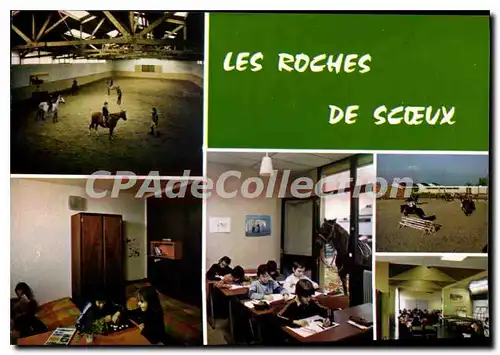 Cartes postales moderne Chamberet Les Roches De Scoeux centre �questre