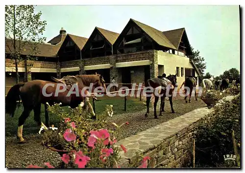 Cartes postales moderne Club Mediterranee Centre Equestre De Pompadour domaine de la Noaille