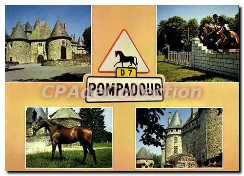 Cartes postales moderne Pompadour Premier Centre Hippique D'Europe