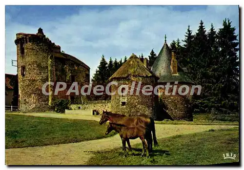 Cartes postales moderne Environs De Pompadour Domaine De La Riviere