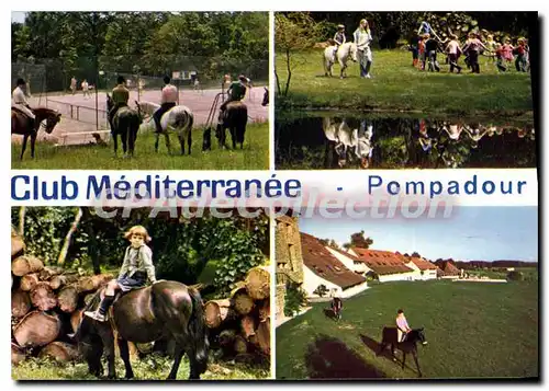 Cartes postales moderne Pompadour Domaine De La Noaille