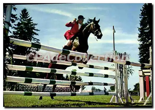 Cartes postales moderne Pompadour Premier Centre Hippique D'Europe concours hippique