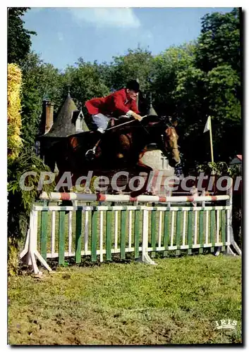 Cartes postales moderne Pompadour Concours Hippique