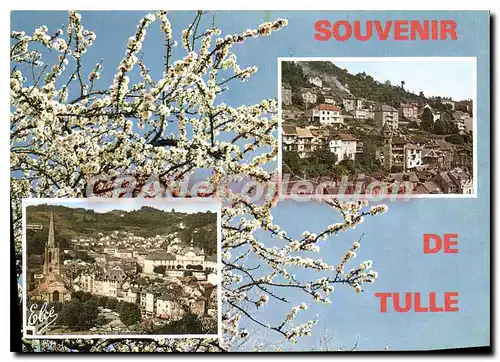 Cartes postales moderne Tulle Vue Generale Sur La Ville