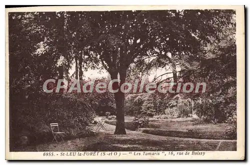Cartes postales St Leu La Foret Les Tamaris Rue De Boissy