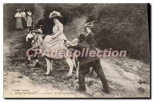 Cartes postales Montmorency La Foret L'Ane Recalcitrant