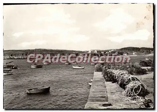 Cartes postales moderne Le Conquet Le Port