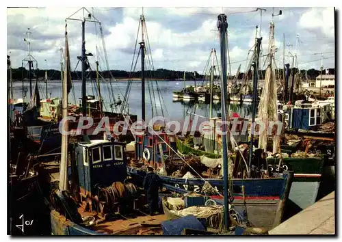 Cartes postales moderne bateaux dans Le Port Loctudy