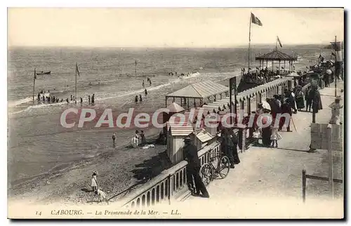 Cartes postales Cabourg La Promenade De La Mer