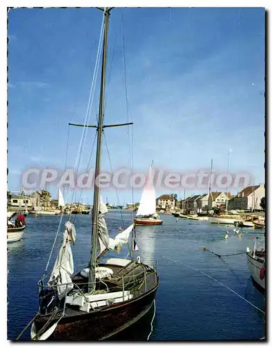 Cartes postales moderne Courseulles Sur Mer Les Voiliers Dons Le Bassin De Plaisance