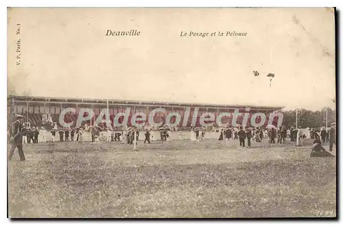 Cartes postales Deauville Le Pesage Et La Pelouse