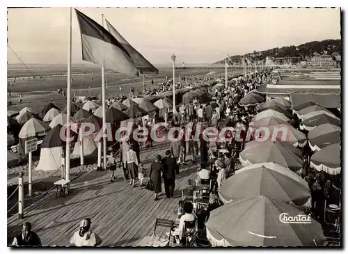 Cartes postales moderne Deauville Le Bar Du Soleil