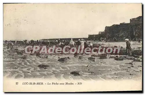Cartes postales Luc Sur Mer La Peche Aux Moules