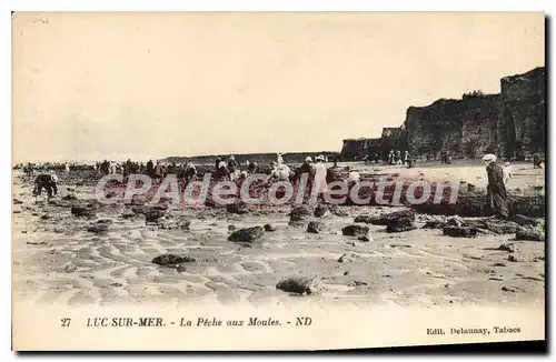 Cartes postales Luc Sur Mer La Peche Aux Moules