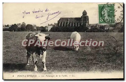 Cartes postales Pont L'Eveque Les Paturages De La Vallee