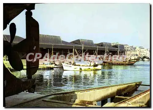 Cartes postales moderne Port En Bessin Halle De Cri�e