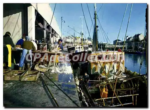 Cartes postales moderne Port En Bessin Le Port Benediction De La Mer tri du poisson