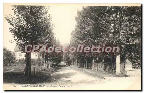 Cartes postales Villers Sur Mer Avenue Leonie