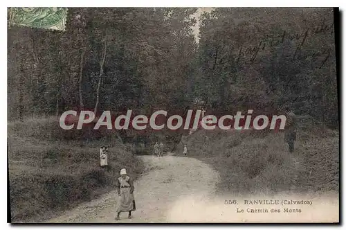 Cartes postales Ranville Le Chemin Des Monts