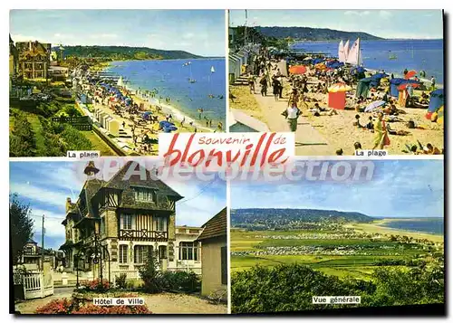 Cartes postales moderne Blonville Sur Mer plage hotel de ville