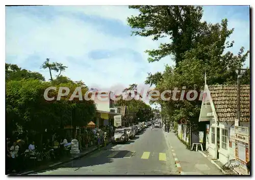 Cartes postales moderne Ronce Les Bains Allee Gabrielle