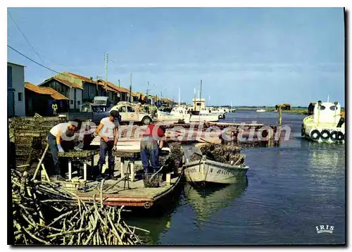 Cartes postales moderne La Tremblade Le Port Scene Ostreicole triage des huitres