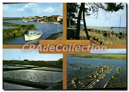 Cartes postales moderne La Tremblade Les Bords De La Seudre parcs � huitres