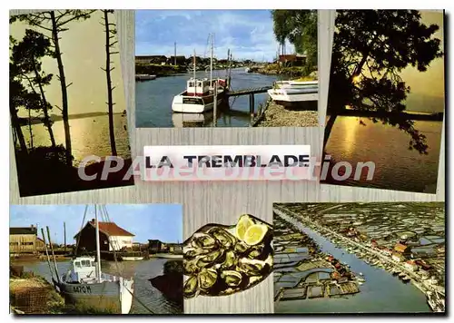 Cartes postales moderne La Tremblade Centre Ostreicole Sur La Seudre