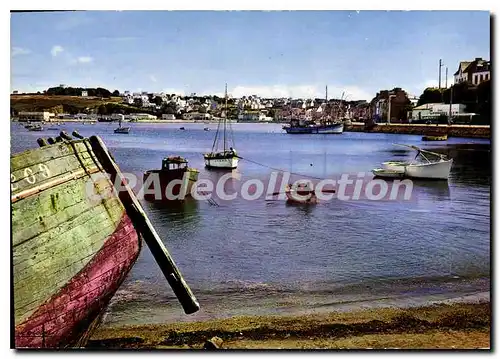 Cartes postales moderne Camaret Vue Generale