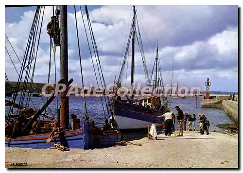 Moderne Karte Camaret Le Port