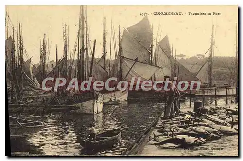 Ansichtskarte AK Concarneau Thonniers Au Port