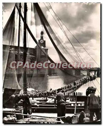 Cartes postales moderne Concarneau Sardinier A I'Ancre Devant La Ville Close