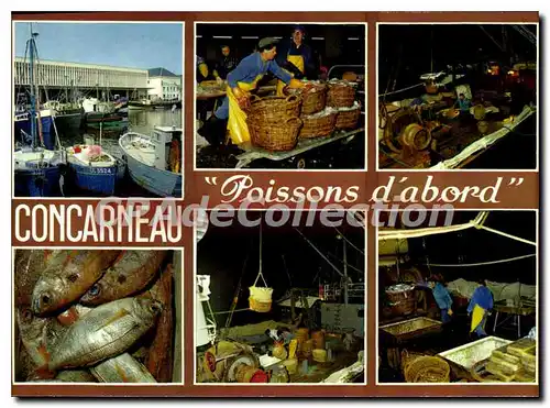 Cartes postales moderne Concarneau poissons d'abord