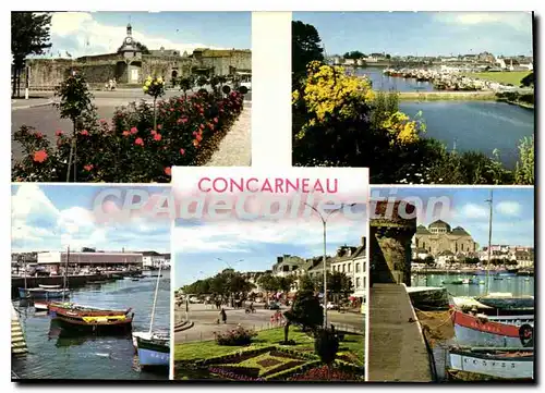 Cartes postales moderne Concarneau Le Ville Close Le Nouveau Port avenue Pierre Gu�guin porte aux vins