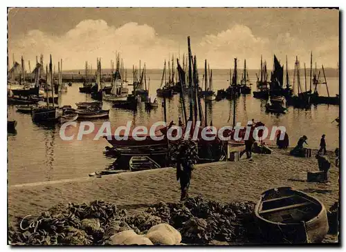 Cartes postales moderne Douarnenez Le Port