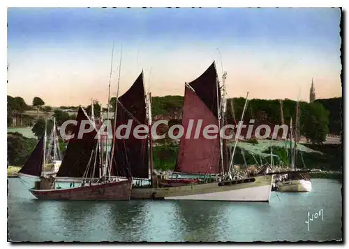 Cartes postales moderne Douarnenez Thoniers Au Mouillage