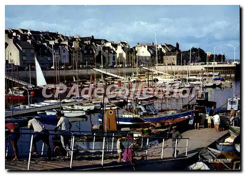 Cartes postales moderne Douarnenez Le Port De Plaisance De Treboul