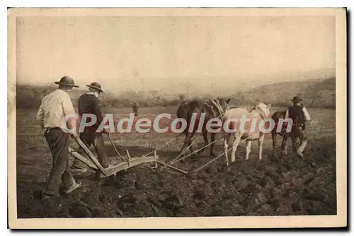 Cartes postales Bretagne Cest Dans Les Travaux Du Labour Que sillon semailles attelage