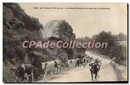 Ansichtskarte AK La Vallee De Tre Auray La Grande Roche De La Route De La Chartreuse