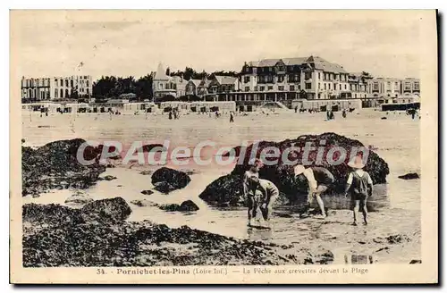 Cartes postales Pornichet Les Pins La Peche Aux Crevettes Devant La Plage