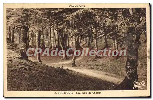 Ansichtskarte AK La Bourboule Sous Bois Du Charlet